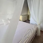Aligia * Nebida