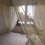 Vila Aligia